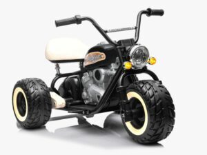 Elektro Kindermotorrad 2x800W Brushless Motoren - 24V7A - Schwarz
